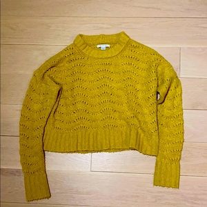 American Eagle Cropped Knit Sweater